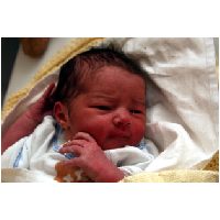 23/05/2011 - 12 hours old